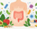 Ilustração de uma silhueta humana com intestino estilizado, microrganismos e alimentos naturais, representando a saúde da microbiota intestinal.