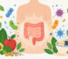 Ilustração de uma silhueta humana com intestino estilizado, microrganismos e alimentos naturais, representando a saúde da microbiota intestinal.